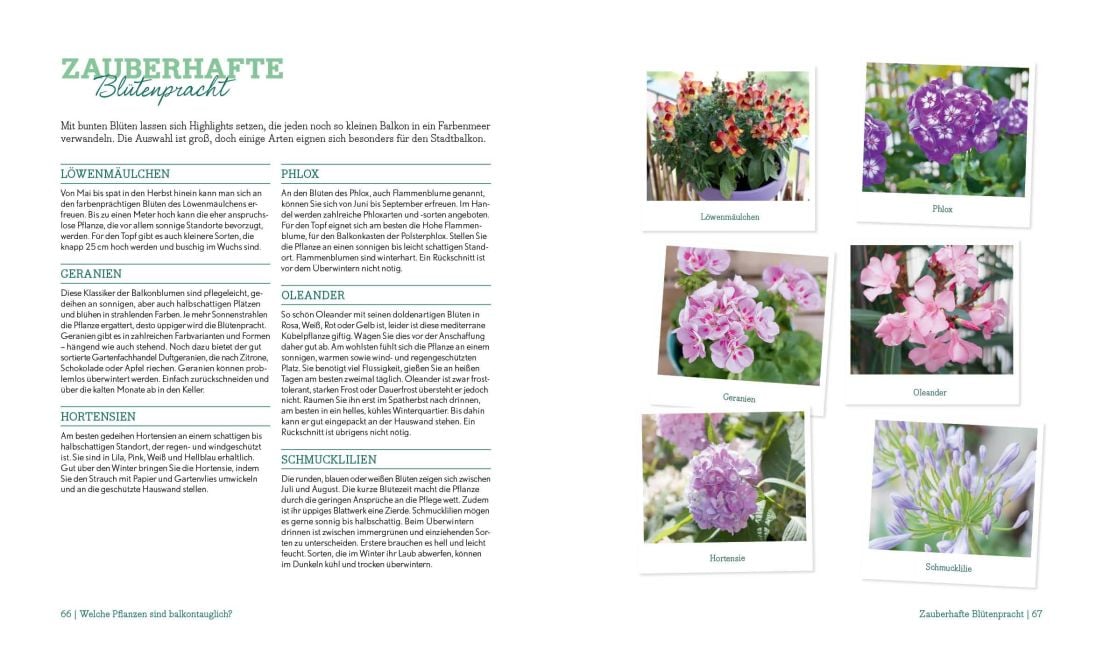 InsideView 5