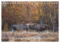 Cover-Bild zum Titel 'Der Elch - König der skandinavischen Wälder (Tischkalender 2026 DIN A5 quer), CALVENDO Monatskalender' von 'David Oberholzer'