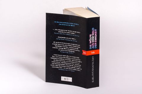 InsideView 3