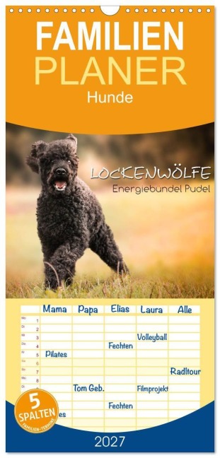 Familienplaner 2027 - Lockenwölfe - Energiebündel Pudel mit 5 Spalten (Wandkalender, 21 x 45 cm) CALVENDO - Alexandra Hollstein