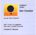 Cover-Bild zum Titel 'Der Condor' von 'Adalbert Stifter'