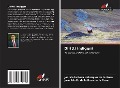 Cover-Bild zum Titel 'Diritti indigeni' von 'Joel Hernández Velazquez, J. A. de la Rosa'