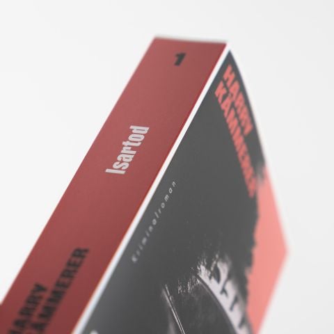 InsideView 4