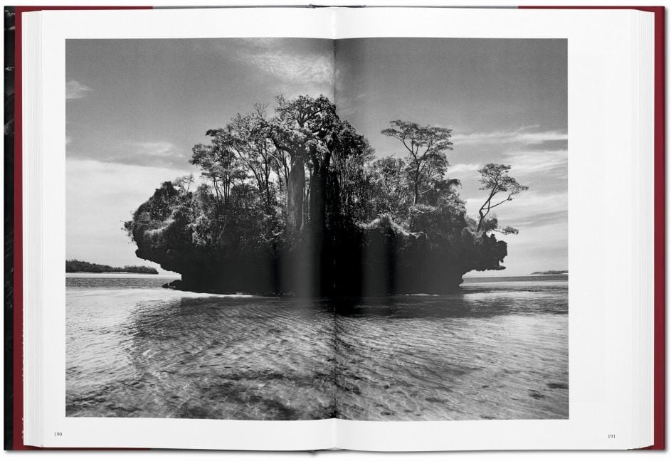 InsideView 6