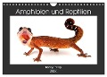 Amphibien und Reptilien (Wandkalender 2024 DIN A4 quer), CALVENDO Monatskalender - Benny Trapp