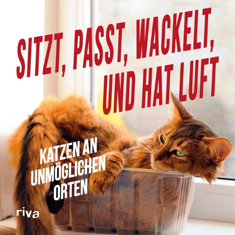 Sitzt, passt, wackelt und hat Luft - 