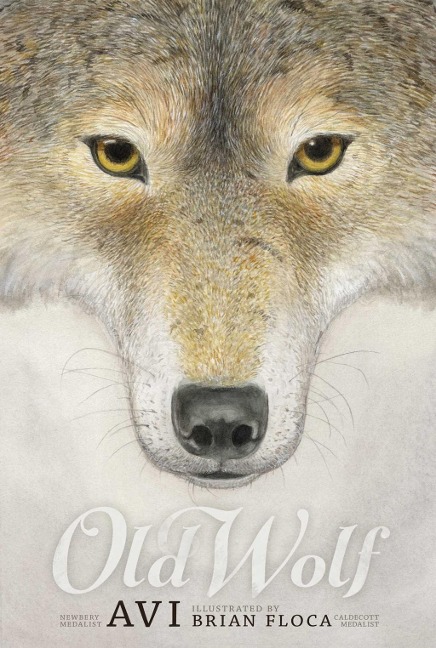 Old Wolf - Avi