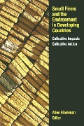 Cover-Bild zum Titel 'Small Firms and the Environment in Developing Countries' von ''