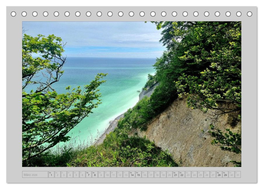 InsideView 8
