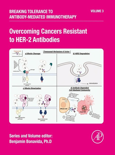 Overcoming Cancers Resistant to HER-2 Antibodies - 