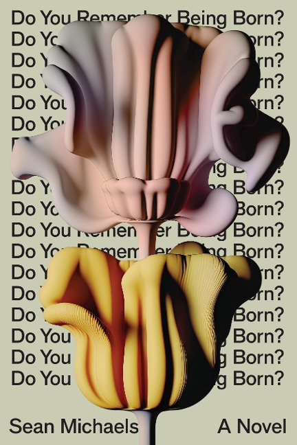 Do You Remember Being Born? - Sean Michaels