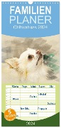 Familienplaner 2024 - Chihuahuas 2024 mit 5 Spalten (Wandkalender, 21 x 45 cm) CALVENDO - Andrea Redecker