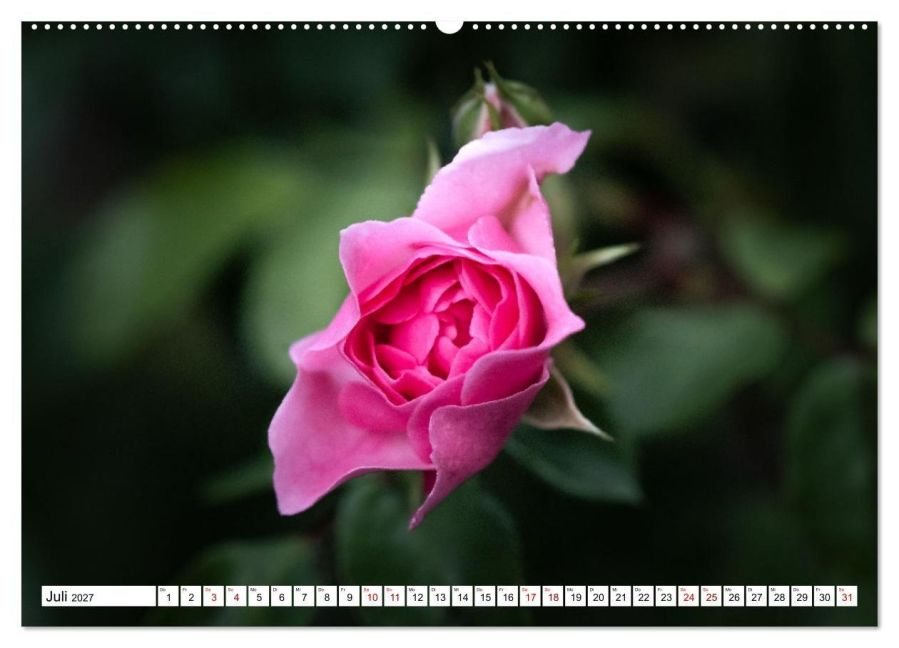 InsideView 12