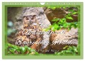 Nationalpark Bayrischer Wald - Die Stärke der Natur (Wandkalender 2024 DIN A4 quer), CALVENDO Monatskalender - Bettina Hackstein