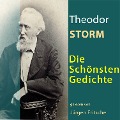 Cover-Bild zum Titel 'Theodor Storm: Die schönsten Gedichte' von 'Theodor Storm'