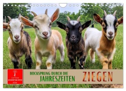 Cover-Bild zum Titel 'Ziegen - Bocksprung durch das Jahr (Wandkalender 2026 DIN A4 quer), CALVENDO Monatskalender' von 'Peter Roder'