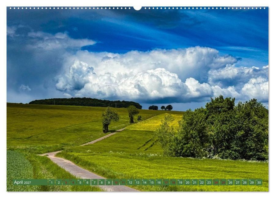 InsideView 8