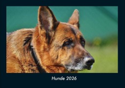Cover-Bild zum Titel 'Hunde 2026 Fotokalender DIN A4' von 'Tobias Becker'
