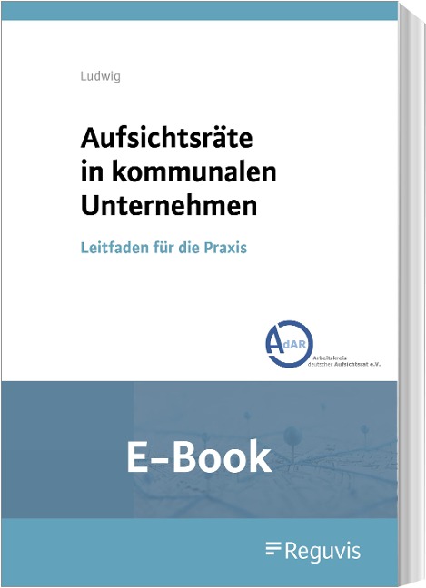 Aufsichtsräte in kommunalen Unternehmen (E-Book) - Doreen Ludwig