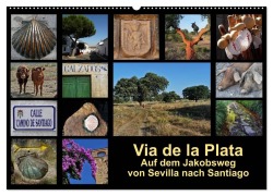 Cover-Bild zum Titel 'Via de la Plata - auf dem Jakobsweg von Sevilla nach Santiago (Wandkalender 2027 DIN A2 quer), CALVENDO Monatskalender' von 'Rina B.'