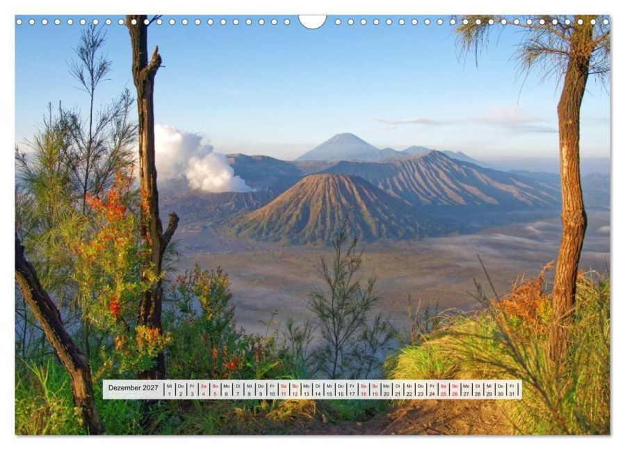 InsideView 4