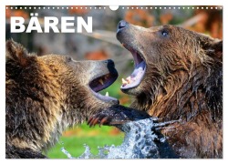 Bären (Wandkalender 2026 DIN A3 quer), CALVENDO Monatskalender - Elisabeth Stanzer