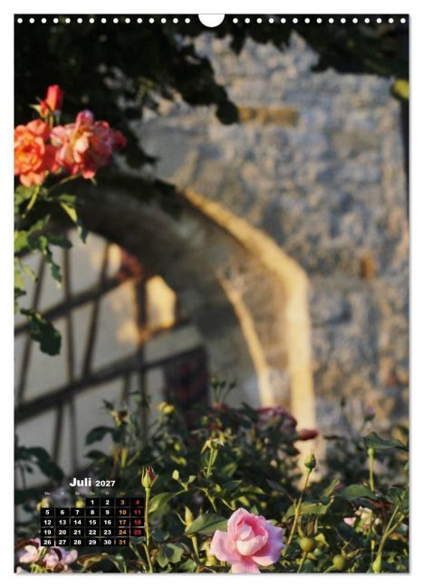 InsideView 12