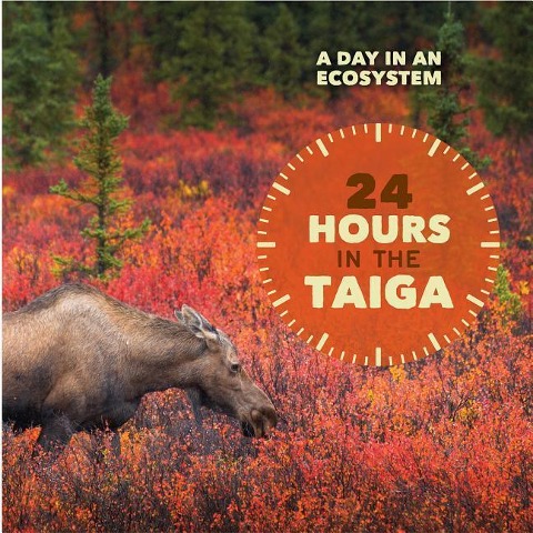 24 Hours in the Taiga - Alicia Z. Klepeis