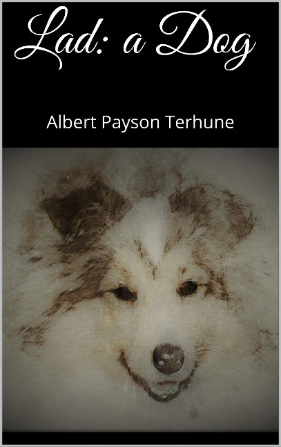 Lad: A Dog - Albert Payson Terhune