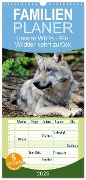 Familienplaner 2025 - Unsere Wölfe - Ein Wildtier kehrt zurück mit 5 Spalten (Wandkalender, 21 x 45 cm) CALVENDO - Angela Rohde