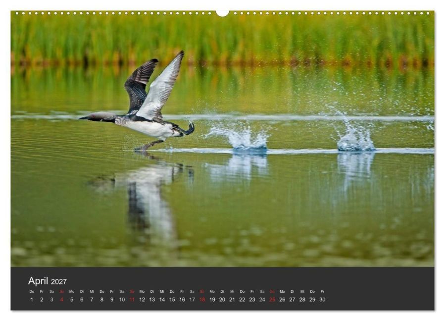 InsideView 9