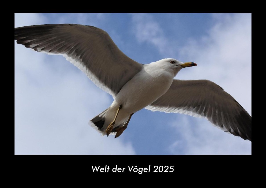 Welt der Vögel 2025 Fotokalender DIN A3 - Tobias Becker
