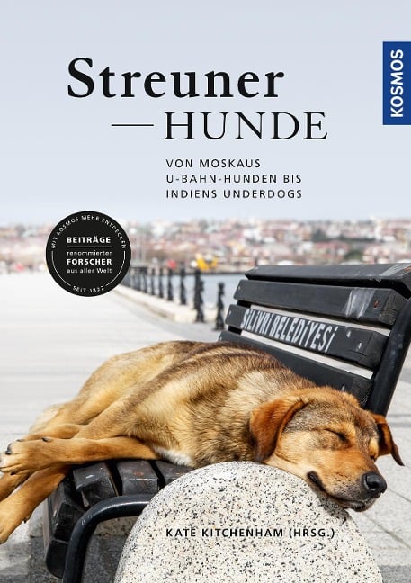 Streunerhunde - 