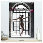 Cover-Bild zum Titel 'Sexy PinUp-Kalender 2026 (hochwertiger Premium Wandkalender 2026 DIN A2 hoch), Kunstdruck in Hochglanz' von 'Dreampixx Dreampixx'