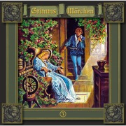 Cover-Bild zum Titel 'Dornröschen / Der arme Müllerbursche und das Kätzchen / Die sechs Schwäne' von 'Brüder Grimm'