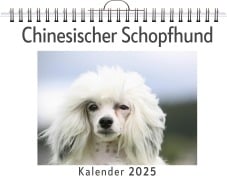 Chinesischer Schopfhund - Sofia Koch