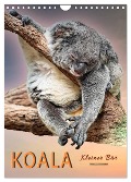 Koala, kleiner Bär (Wandkalender 2024 DIN A4 hoch), CALVENDO Monatskalender - Peter Roder