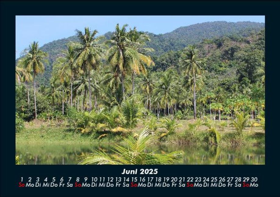 InsideView 10