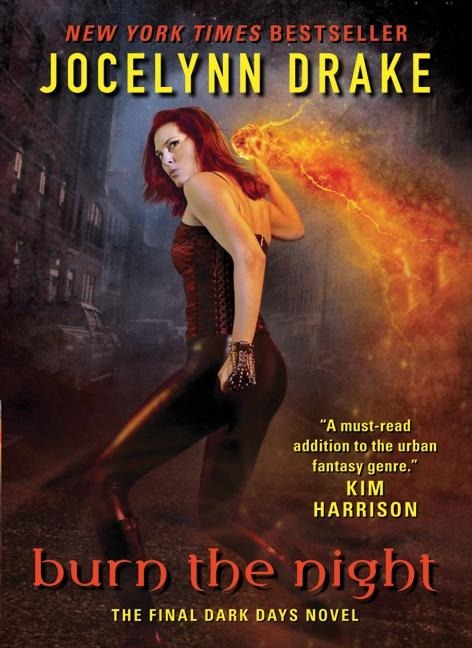 Burn the Night - Jocelynn Drake