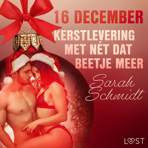 16 december: Kerstlevering met nét dat beetje meer ¿ een erotische adventskalender - Sarah Schmidt
