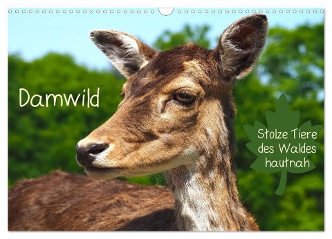 Damwild - stolze Tiere des Waldes hautnah (Wandkalender 2025 DIN A3 quer), CALVENDO Monatskalender - Marion Meyer - Stimmungsbilder1