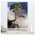 Bäume - Stilles Leben (hochwertiger Premium Wandkalender 2025 DIN A2 hoch), Kunstdruck in Hochglanz - Jana Behr