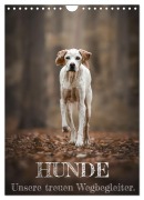 Hunde - Unsere treuen Wegbegleiter. (Wandkalender 2026 DIN A4 hoch), CALVENDO Monatskalender - Tierfotografie Andreas Kossmann