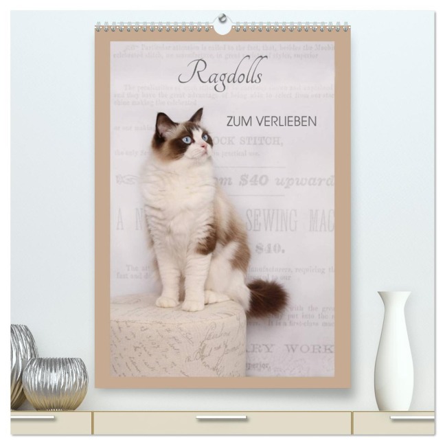 Ragdolls zum Verlieben (hochwertiger Premium Wandkalender 2026 DIN A2 hoch), Kunstdruck in Hochglanz - Marion Reiß-Seibert