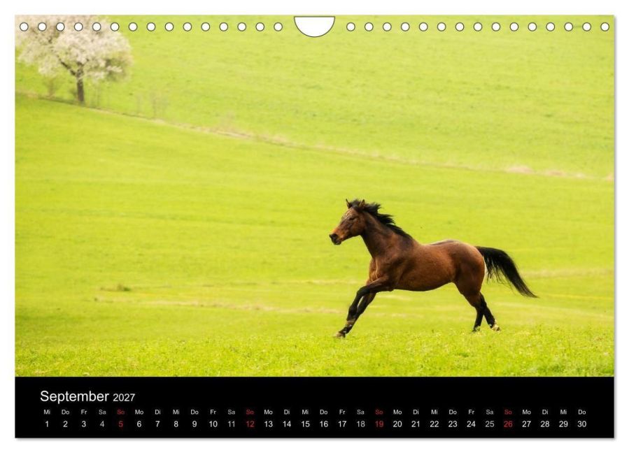 InsideView 14