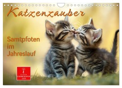 Katzenzauber - Samtpfoten im Jahreslauf (Wandkalender 2025 DIN A4 quer), CALVENDO Monatskalender - Peter Roder