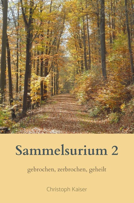Sammelsurium 2 - Christoph Kaiser