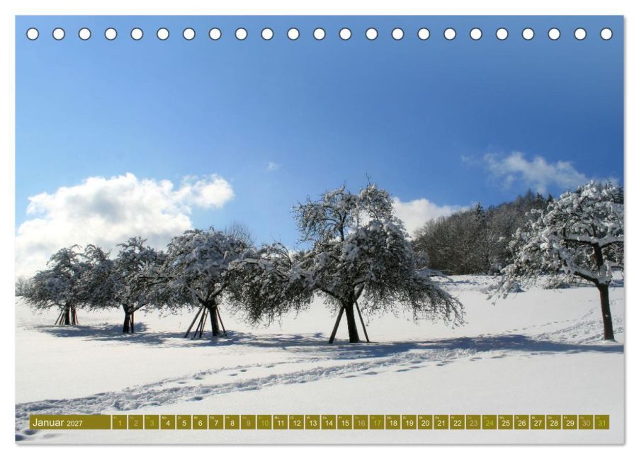 InsideView 6