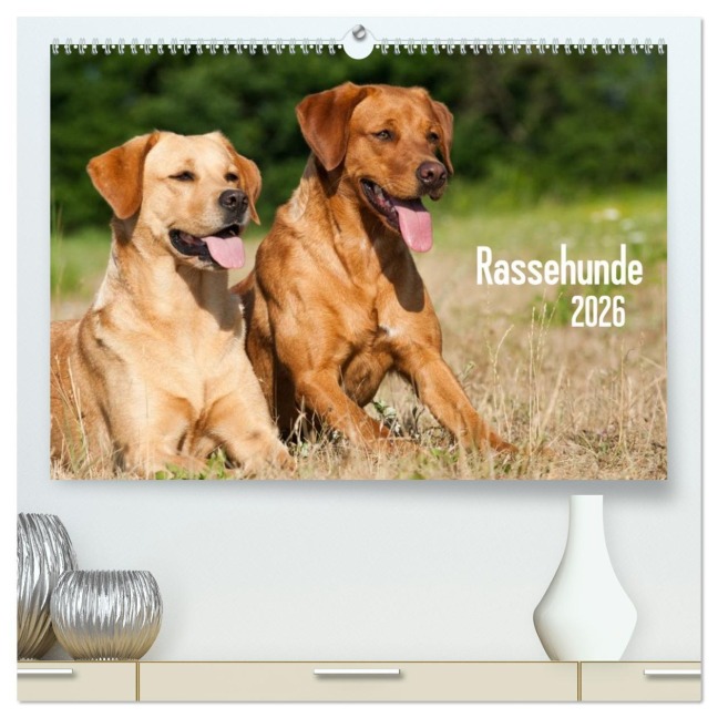 Rassehunde (hochwertiger Premium Wandkalender 2026 DIN A2 quer), Kunstdruck in Hochglanz - Judith Dzierzawa