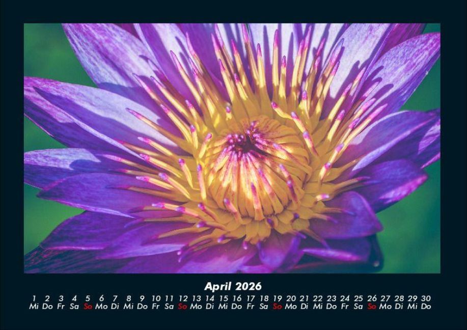 InsideView 8